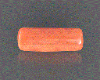Natural Coral  8.17RTS-27704